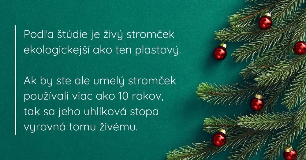 Choinka w doniczce