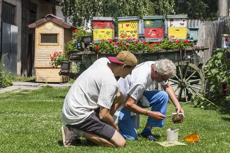 Wosk pszczeli: naturalny skarb i jego tajemnice