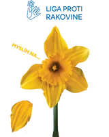 🌻 Dzień Żonkila