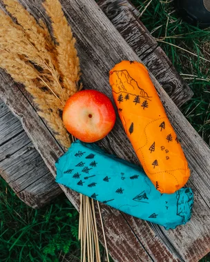 🐻 Wyprawa w góry
