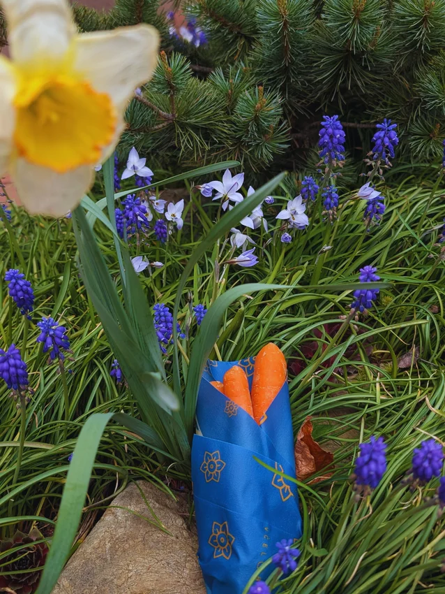 Woskowijka Waxopack x Liga Przeciwko Rakowi