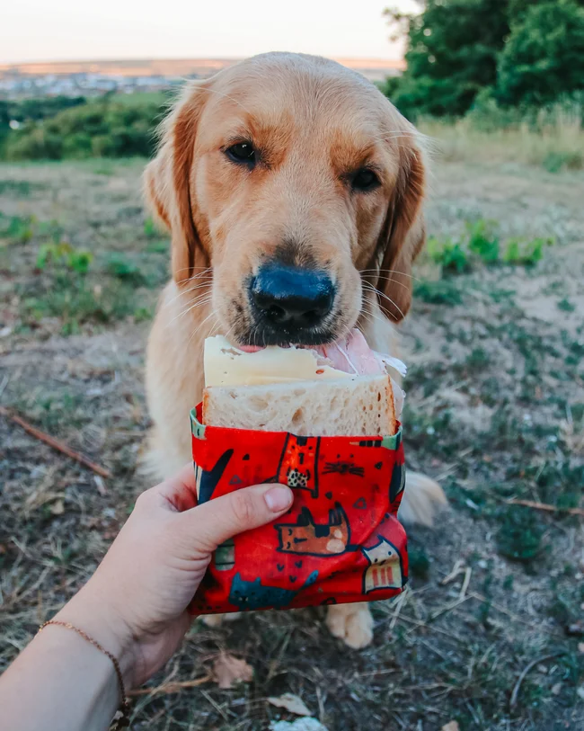 Woskowijka L - Zwierzątka