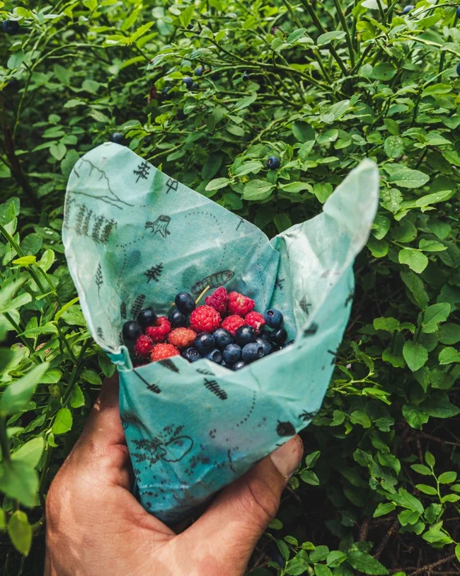 Woskowijka M -Turysta