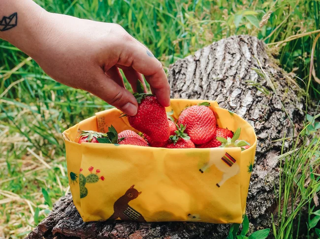 Woskowijki TRIO - Zwierzątka