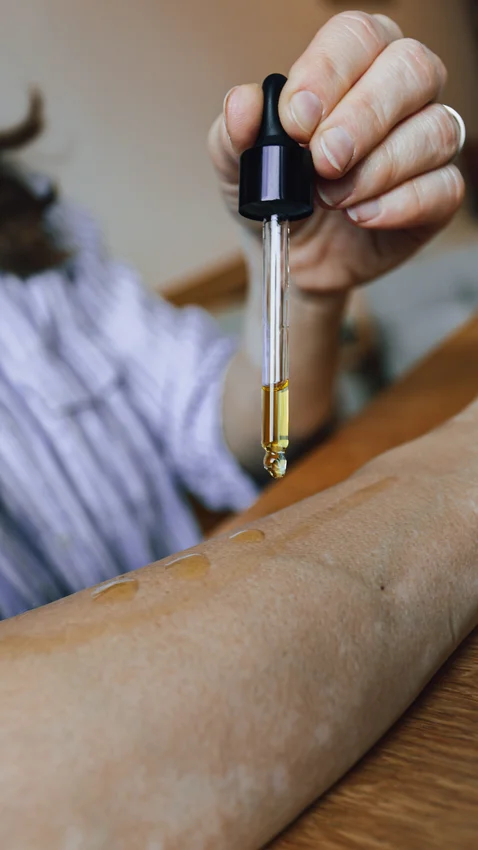 Dom bez plastiku MIDI