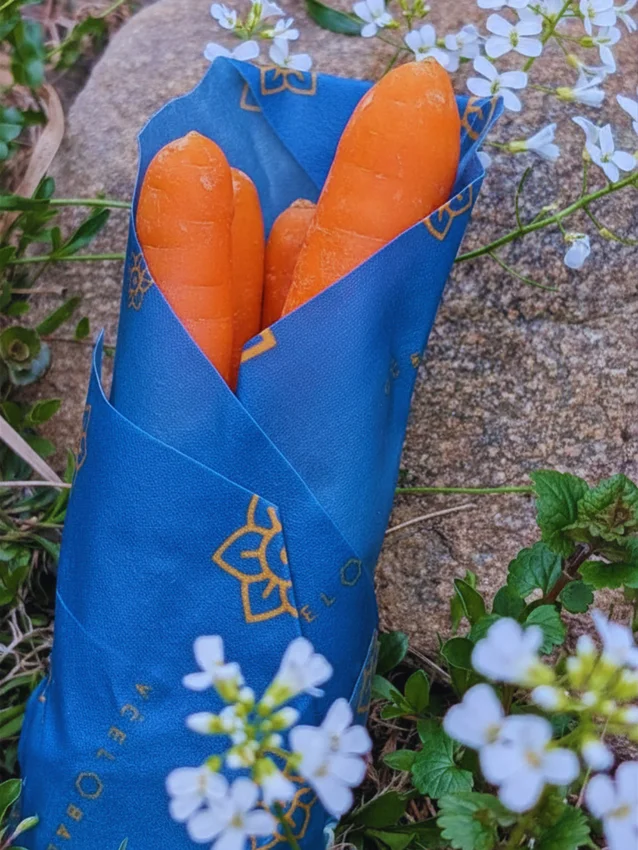 Woskowijka Waxopack x Liga Przeciwko Rakowi