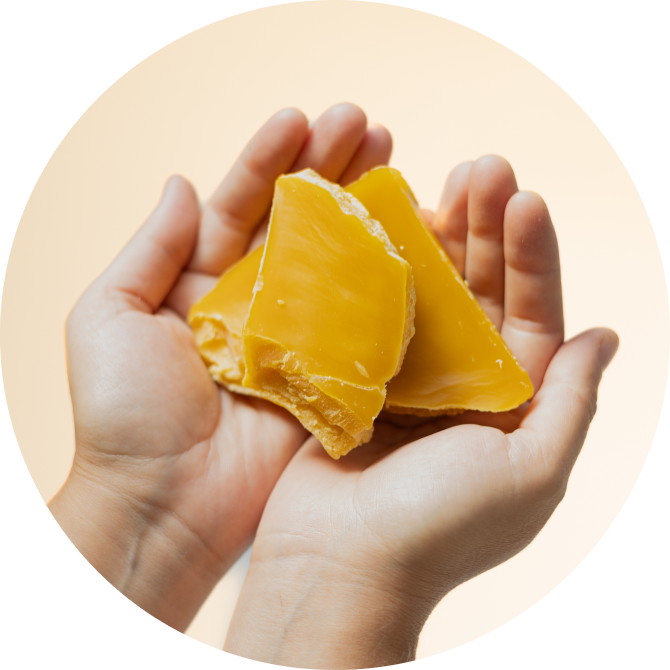 Od lokalnych pszczelarzy